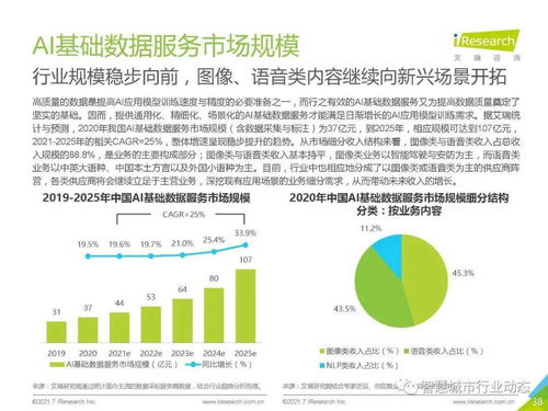 中国人工智能基础软件开发行业报告 2021 夯实智能底座，赋能产业变革