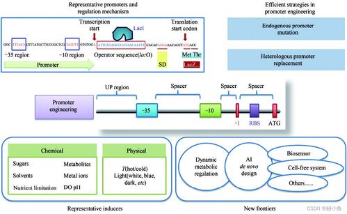 传统行业与人工智能融合 材料、化学、物理、生物的发展与未来展望